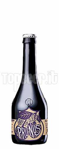 BIRRA DEL BORGO Prunus 33Cl