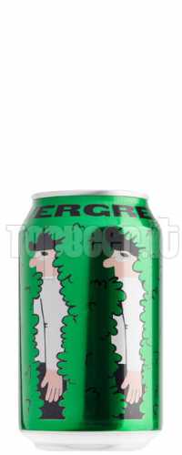 Mikkeller Evergreen Lattina 33Cl