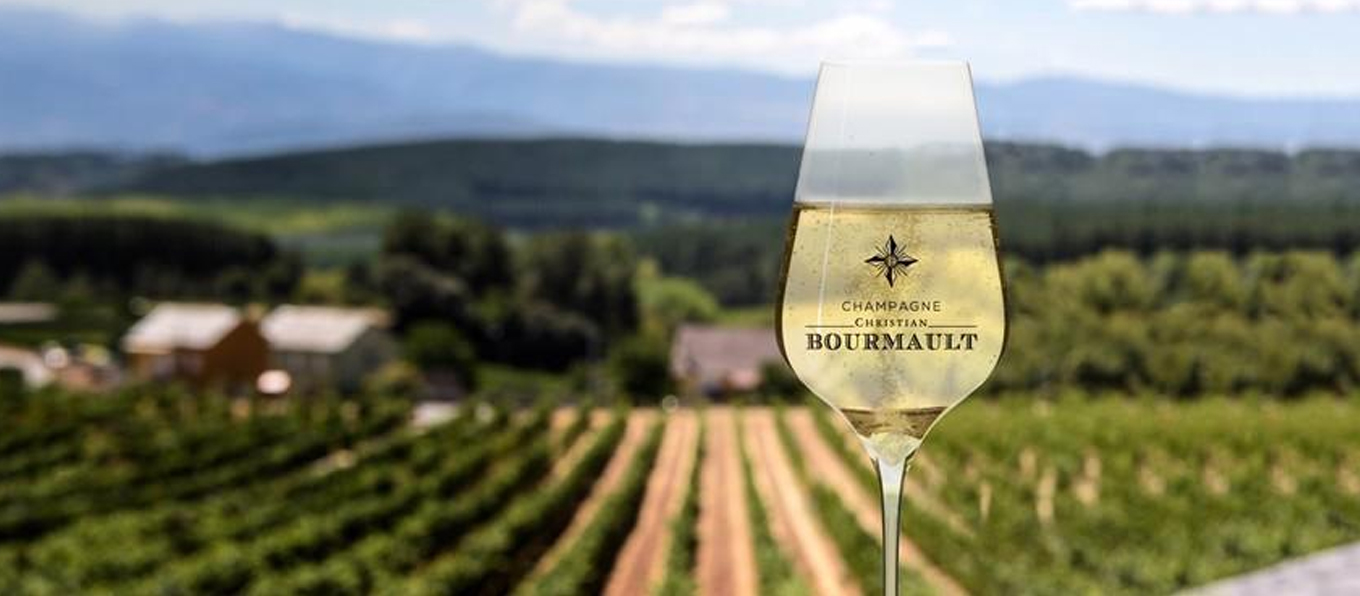 Un calice di champagne in primo piano e vigneti sullo sfondo