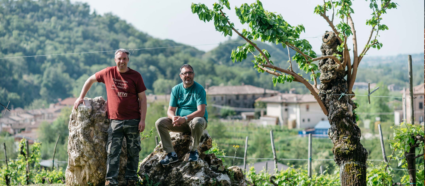 I due fratelli Ruggeri fotografati nella loro vigna a Valdobbiadene | Topbeer